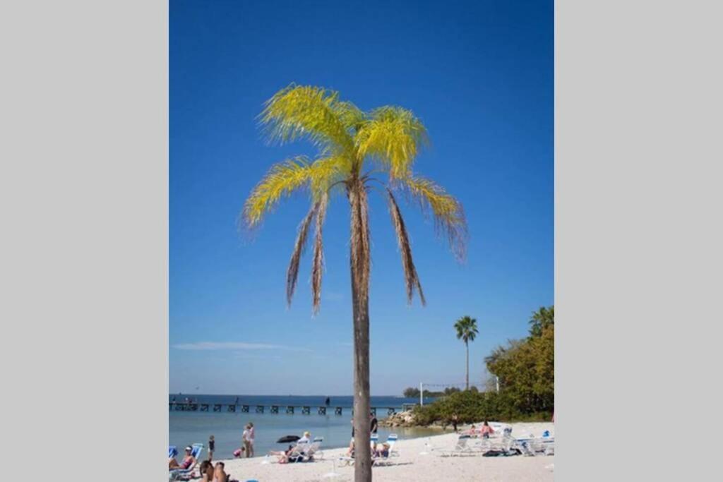 Bay View, Studio206, Beach Steps Away! Pool+Wifi Ruskin Eksteriør bilde